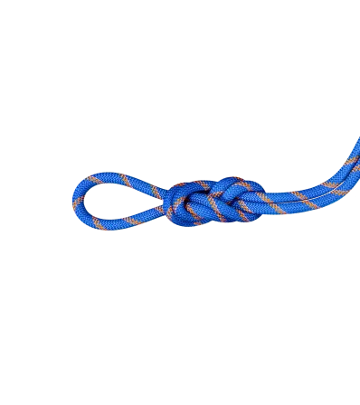 Climbing Rope Mammut 9.0 Alpine Sender Dry Rope Standard 60M Winter 2025