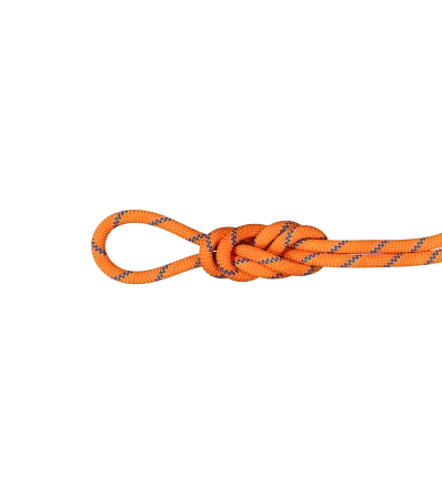 Climbing Rope Mammut 9.0 Alpine Sender Dry Rope Standard 60M Winter 2025