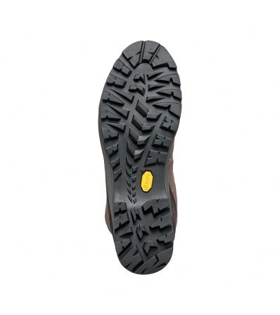 Trail Shoes Scarpa R-Evolution GTX M's