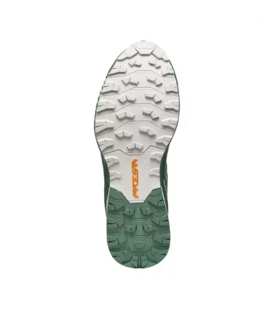 Chaussures de course Scarpa Ribelle Run GTX W's