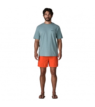 Patagonia Baggies 5