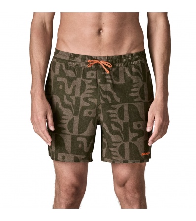 Patagonia Hydropeak Volley Shorts 16