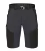 Direct Alpine Fremont Shorts 1.0 M's