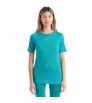 Icebreaker W's 125 ZoneKnit Merino Short Sleeve Crewe Top Winter 2024
