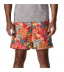 Patagonia Baggies Longs Shorts 7