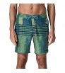 Patagonia Hydropeak Side Shore Boardshorts 18